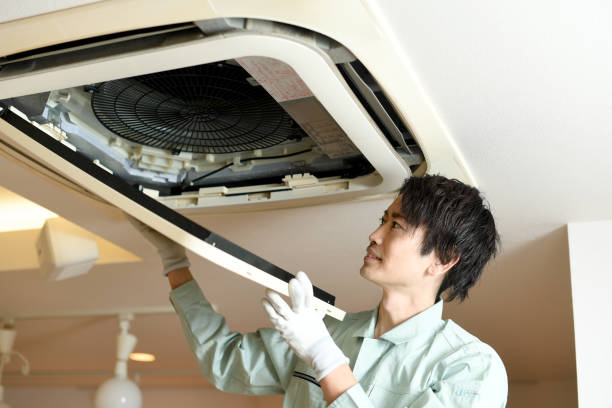 Best Best Air Duct Cleaning Company  in Lemon Grove, CA